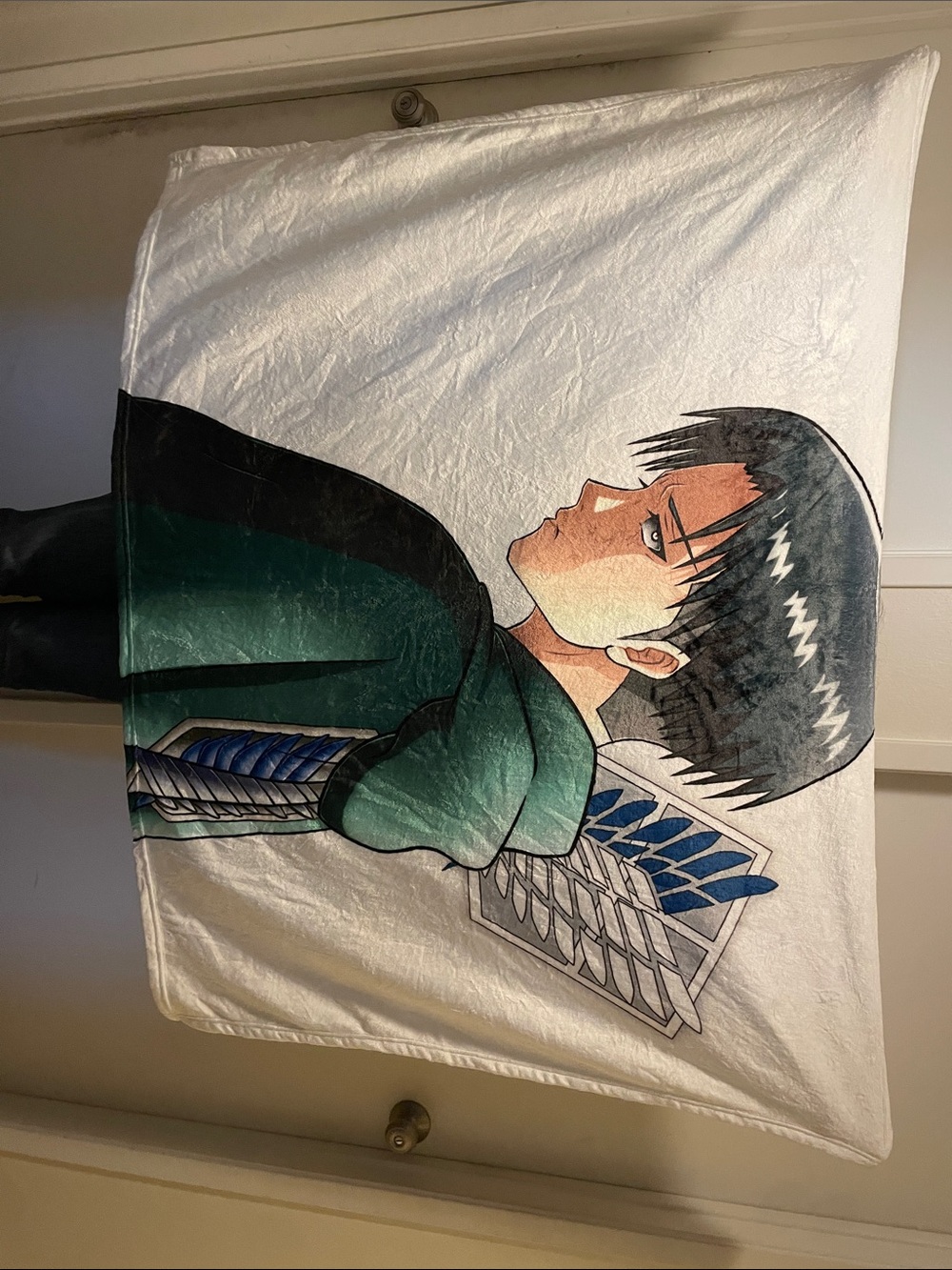 Attack on Titan Blanket L